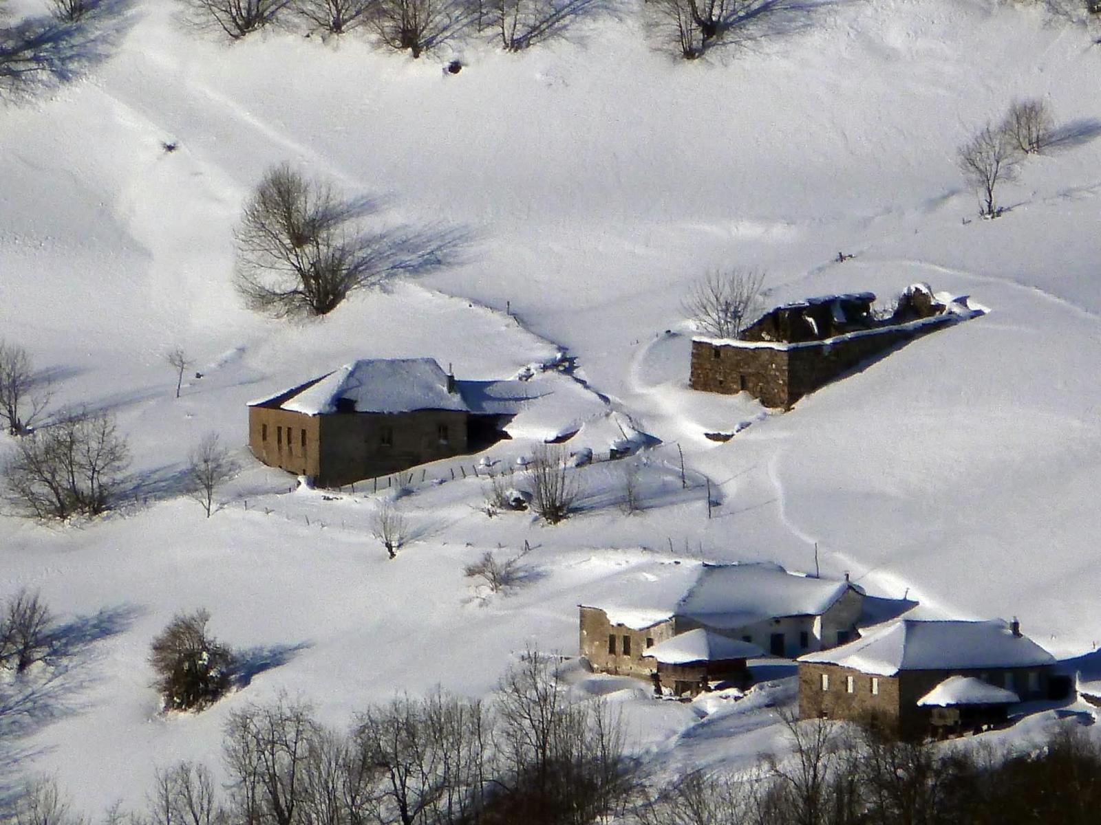Casas de piedra de una braña asturiana cubiertas de nieve, entre prados blancos y árboles desnudos